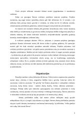 Bažnyčios požiūris į laikmečio aktualijas: abortai 6 puslapis