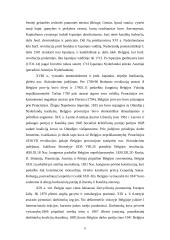 Belgija, jos gamta, gyventojai, ekonomika 11 puslapis