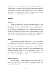 Belgija, jos gamta, gyventojai, ekonomika 4 puslapis