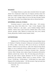 Belgija, jos gamta, gyventojai, ekonomika 5 puslapis