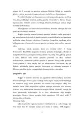 Belgija, jos gamta, gyventojai, ekonomika 9 puslapis