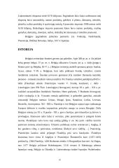 Belgija, jos gamta, gyventojai, ekonomika 10 puslapis