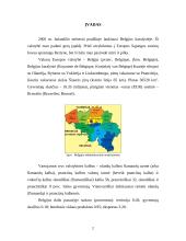 Belgijos Karalystė 2 puslapis