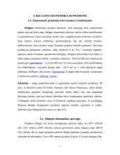 Belgijos Karalystė 7 puslapis