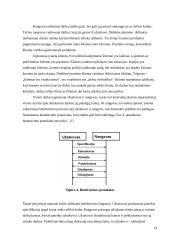 Bendrojo darbo valdymas 14 puslapis