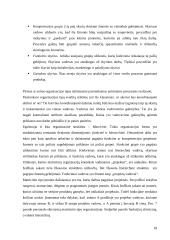 Bendrojo darbo valdymas 18 puslapis