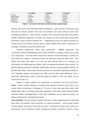 Bendrojo darbo valdymas 19 puslapis