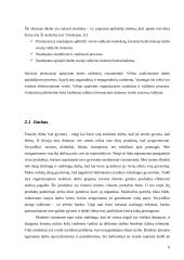 Bendrojo darbo valdymas 6 puslapis