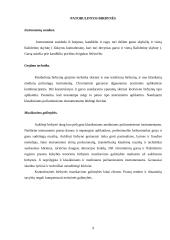 Birbynė lietuvių liaudies muzikoje 8 puslapis