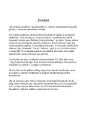 Branduolio charakteristikos 3 puslapis