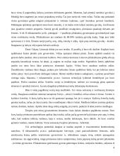 Bronzos amžius Lietuvoje 4 puslapis