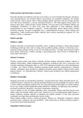 Centrinės Europos kultūros: Vengrija, Rumunija, Moldova 12 puslapis