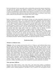 Centrinės Europos kultūros: Vengrija, Rumunija, Moldova 15 puslapis