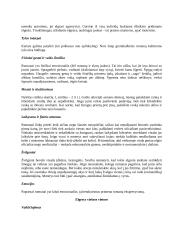 Centrinės Europos kultūros: Vengrija, Rumunija, Moldova 16 puslapis