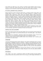 Centrinės Europos kultūros: Vengrija, Rumunija, Moldova 17 puslapis