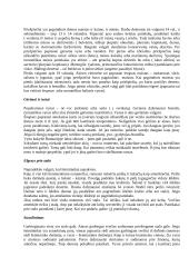 Centrinės Europos kultūros: Vengrija, Rumunija, Moldova 19 puslapis