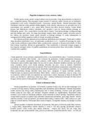 Centrinės Europos kultūros: Vengrija, Rumunija, Moldova 3 puslapis