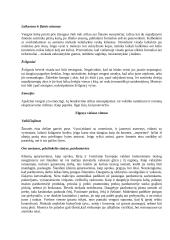 Centrinės Europos kultūros: Vengrija, Rumunija, Moldova 5 puslapis