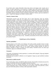 Centrinės Europos kultūros: Vengrija, Rumunija, Moldova 9 puslapis