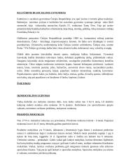 Čekija ir Čekijos charakteristika 12 puslapis