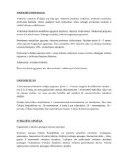 Čekija ir Čekijos charakteristika 13 puslapis