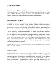 Čekija ir Čekijos charakteristika 14 puslapis