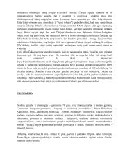 Čekija ir Čekijos charakteristika 5 puslapis