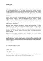 Čekija ir Čekijos charakteristika 6 puslapis