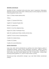 Čekija ir Čekijos charakteristika 8 puslapis