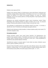Čekija ir Čekijos charakteristika 9 puslapis