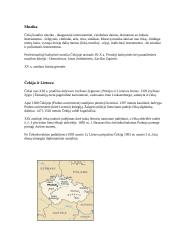 Čekija bei Čekijos charakteristika 7 puslapis