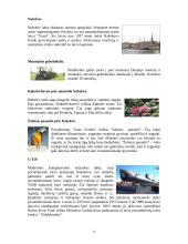 Danijos apibūdinimas 13 puslapis