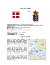 Danijos apibūdinimas 3 puslapis