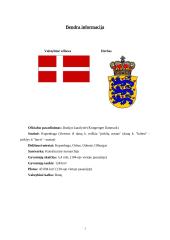 Danijos aprašymas 2 puslapis