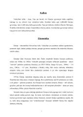 Danijos aprašymas 8 puslapis