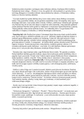 Disneilendas 6 puslapis