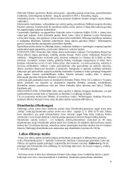 Disneilendas 8 puslapis