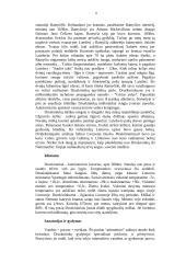 Druskininkai 8 puslapis