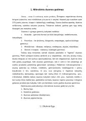 Duonos gaminių gedimas. Maisto produktų gamybos darbuotojų asmens ir darbo higiena 3 puslapis