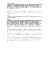 Egipto geografinės ypatybės 3 puslapis