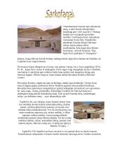 Egipto geografinės ypatybės 9 puslapis