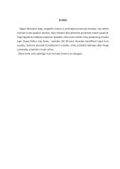 Egipto trys kapų tipai 3 puslapis