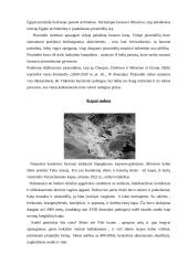 Egipto trys kapų tipai 5 puslapis