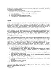 Energetika ir energetikos plėtra 6 puslapis