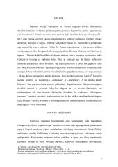 Erezijų istorija 4 puslapis