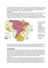 Erkinio encefalito virusas, jo savybės ir ekologija 6 puslapis