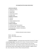 Eucharistija 4 puslapis