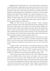 Europos žemynas 13 puslapis