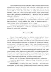 Europos žemynas 5 puslapis