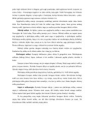 Europos žemynas 6 puslapis